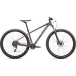 Specialized Rockhopper 2025