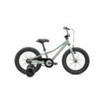 Specialized Riprock Coaster 16 2024