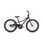 Specialized Riprock Coaster 20 Int. 2024